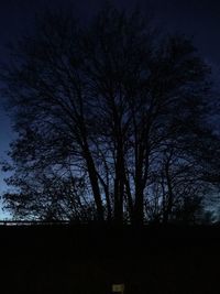 Low angle view of silhouette trees against sky at night