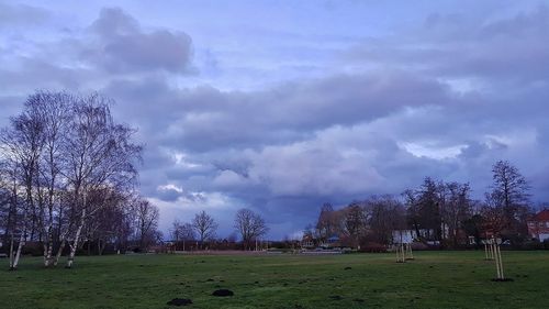 Trees on field against sky