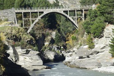 Arch bridge over river amidst trees