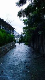 Walkway leading to building