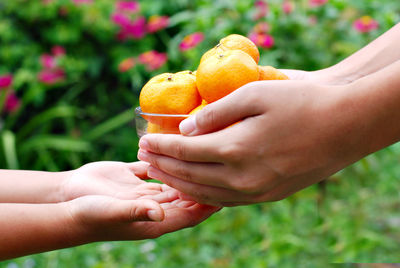 Close-up of woman holding bowl of fruit