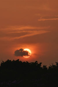 Silhouette trees against romantic sky at sunset