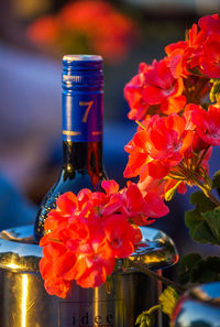 Close-up of flowers in vase