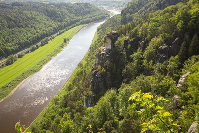 High angle view of trees on landscape