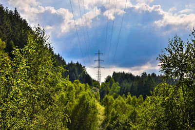 Low angle view of trees against sky