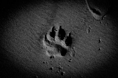 High angle view of footprints on sand at beach