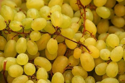 Full frame shot of lemons
