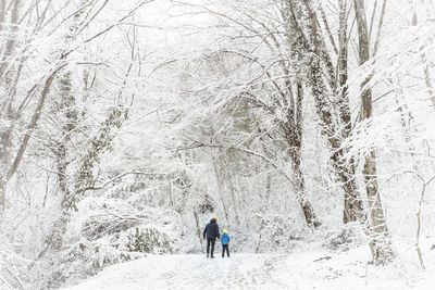 Rear view of man walking on snow