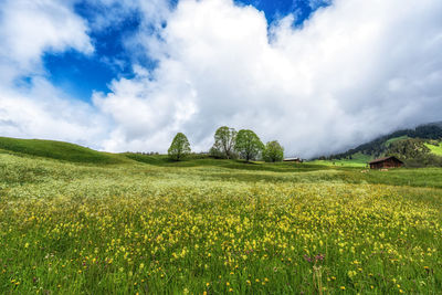 Wide valley and farmland in grindelwald covered in clouds. famous tourist landmark in switzerland
