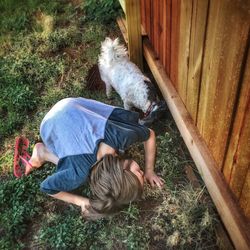 High angle view of dog lying on grass