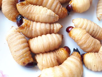 High angle view of breads