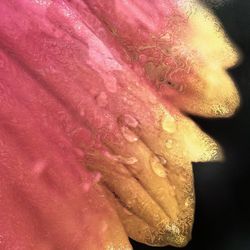 petal