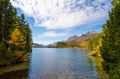 Lake sils maria, in the engadine, photographed in autumn, with landscape and mountains above it.