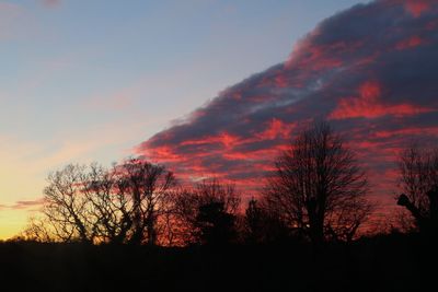 Silhouette of trees against sky at sunset