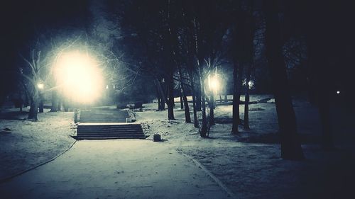 Scenic view of snow covered trees against sky at night