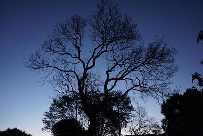 Low angle view of silhouette bare trees against clear blue sky