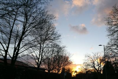 Low angle view of silhouette bare trees against sky during sunset