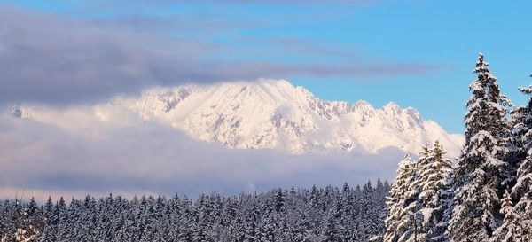 Scenic view of snowcapped mountains against sky