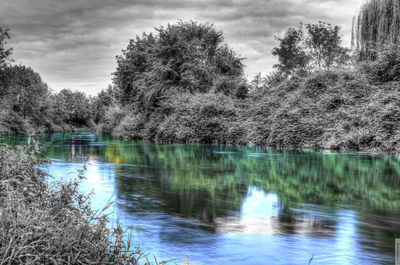 Scenic view of lake by trees against sky