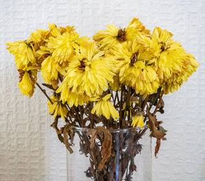 Close-up of yellow flowering plant