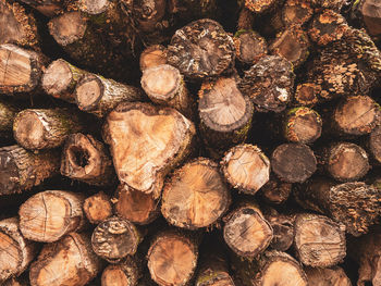 Full frame shot of logs