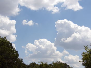 Low angle view of trees against cloudy sky