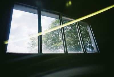 Trees against sky seen through window