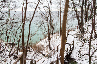 Bare trees on snow covered landscape