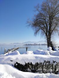 Scenic view of snow covered trees against clear sky