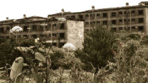 Low angle view of old building