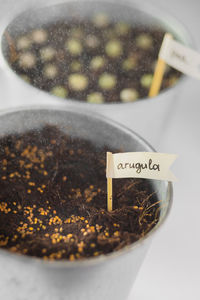 High angle view of coffee on table