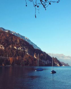 Sailboats in sea against clear blue sky