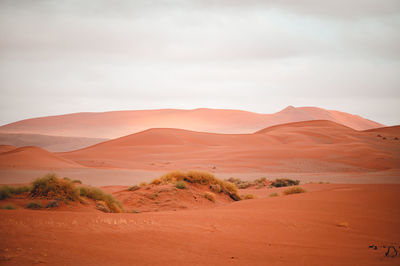 Scenic view of desert against sky