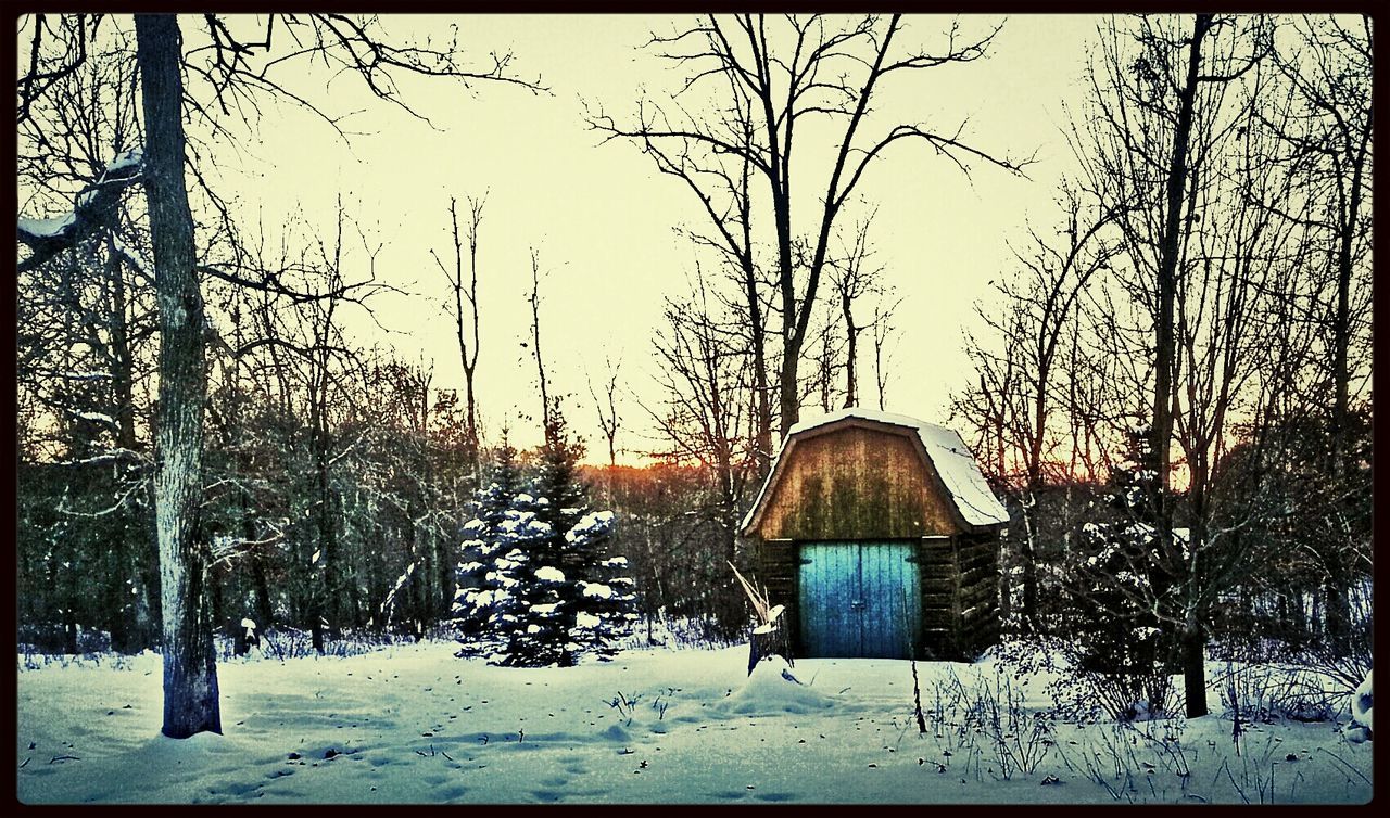 snow, winter, cold temperature, transfer print, season, bare tree, clear sky, tree, weather, covering, auto post production filter, field, house, nature, tranquility, landscape, tranquil scene, built structure, frozen, building exterior