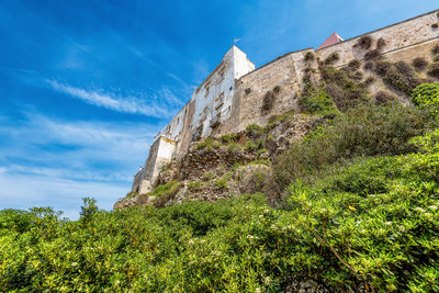 Low angle view of trees against sky