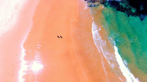 Scenic view of beach