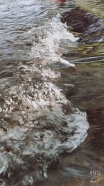 Close-up of wave in water