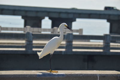 Close-up of crane on concrete structure