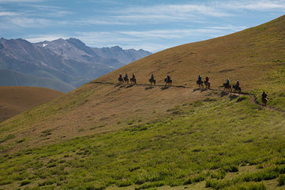 View of people on horseback tour on mountain