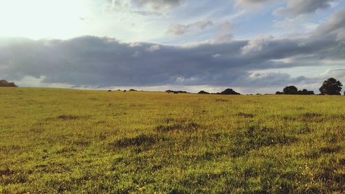 Scenic view of field against sky