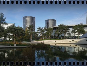 Trees in city