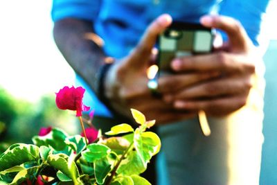 Close-up of woman holding flowers