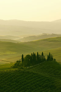 San quirico d.orcia, tuscany-italy iii