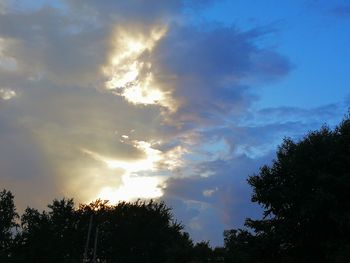 Low angle view of trees against sky during sunset