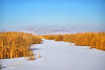 Scenic view of frozen field against sky during winter