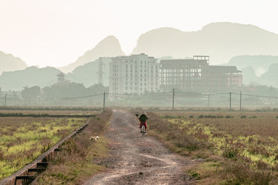 Rear view of man walking on field against sky