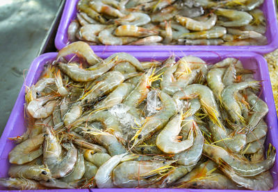 High angle view of fish for sale at market