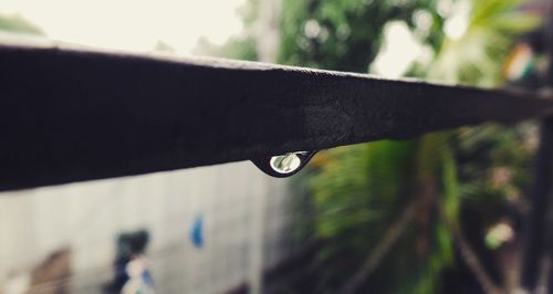 Close-up of water drops on railing
