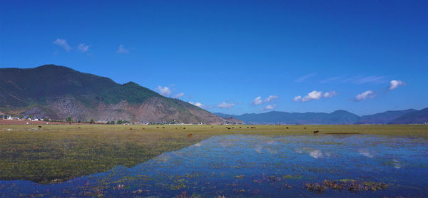 Scenic view of lake against blue sky