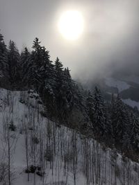 Scenic view of mountain against sky